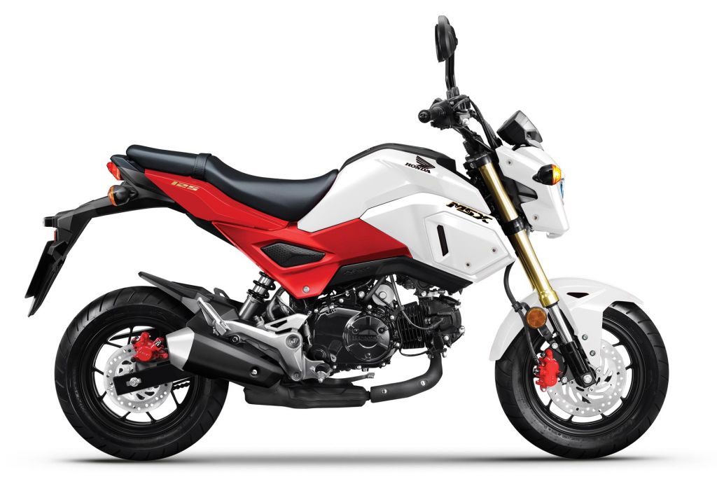 Honda MSX phiên bản màu mới