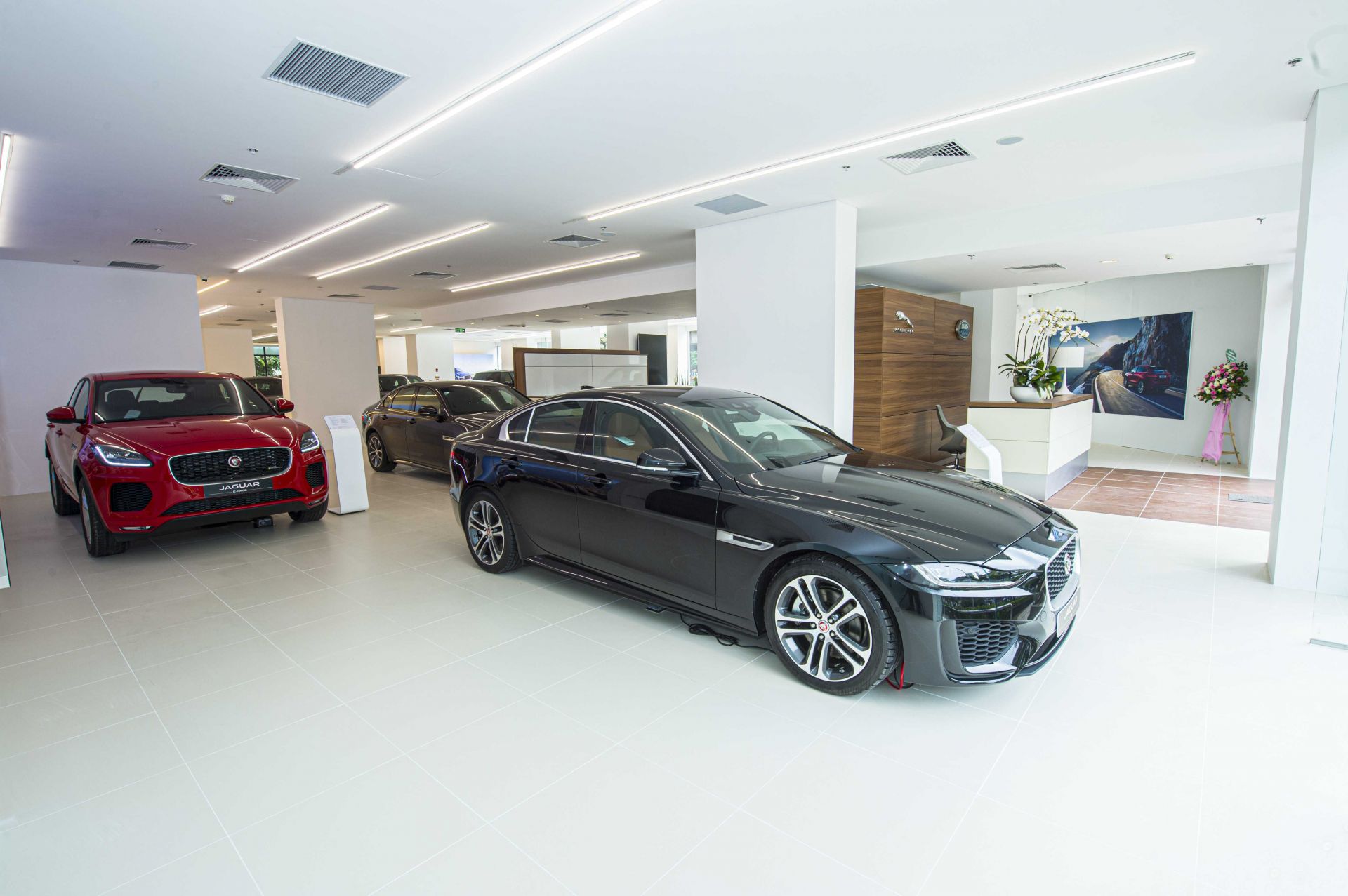 Khách hàng có cơ hội tới chiêm ngưỡng nhiều mẫu xe khác của Jaguar Land Rover