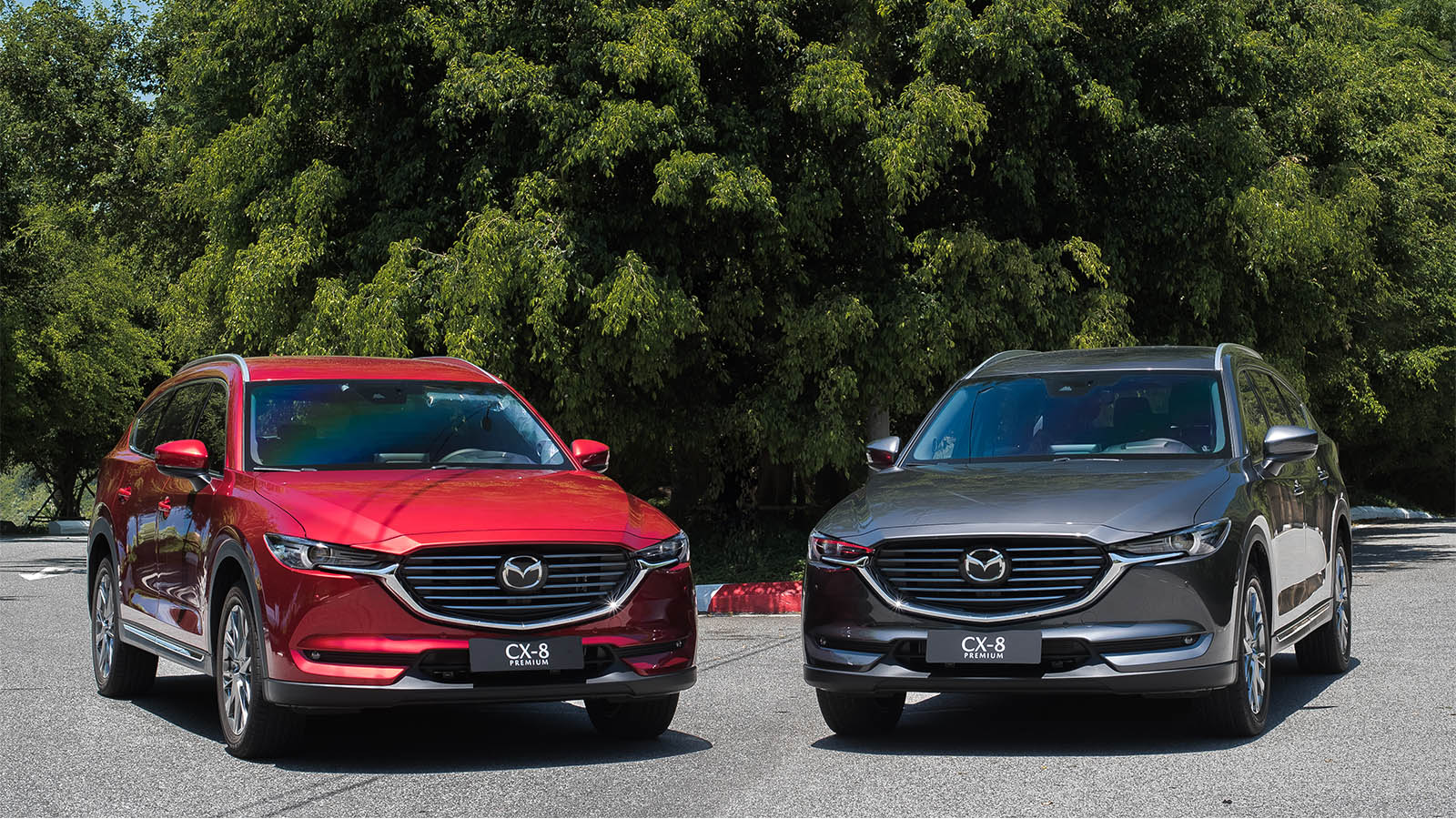 Xe Mazda CX-8