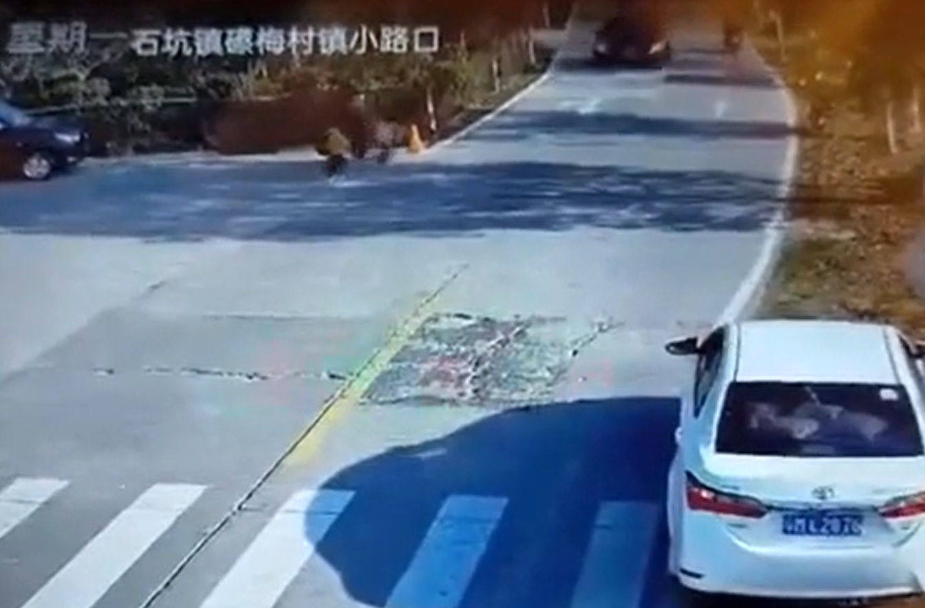 Người phụ nữ và 2 đứa trẻ thời điểm trước khi xảy ra tai nạn