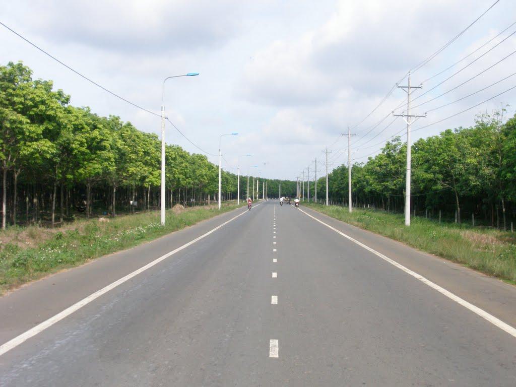 vạch kẻ đường