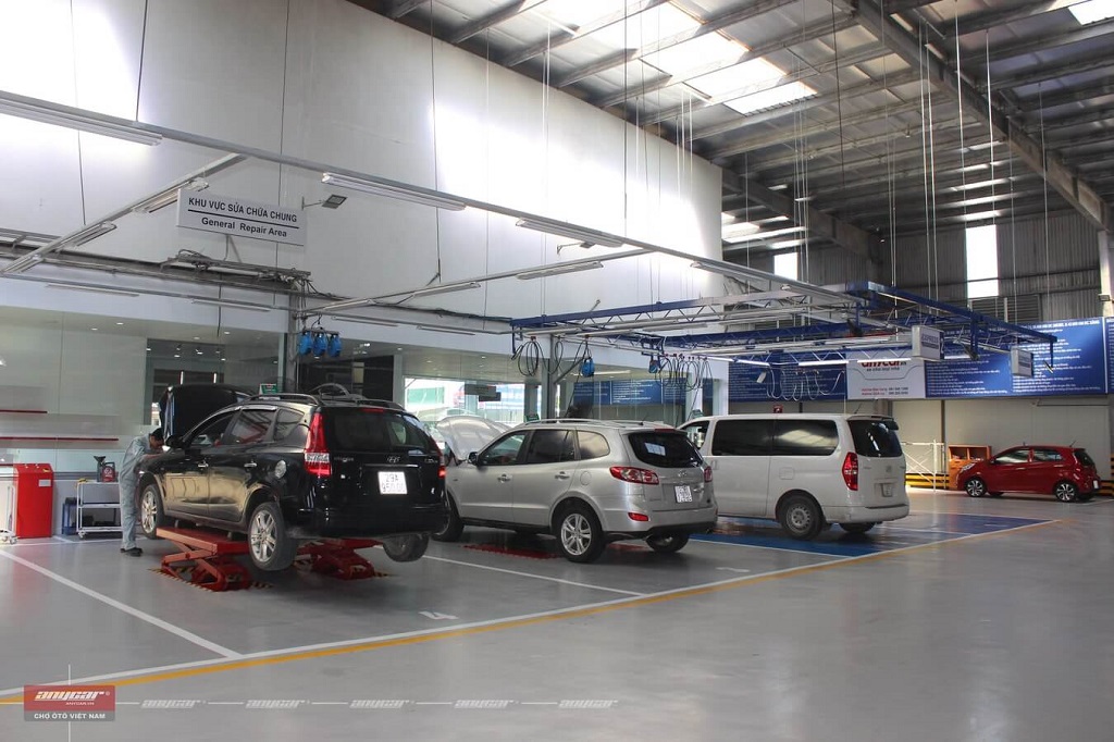 không bảo dưỡng xe