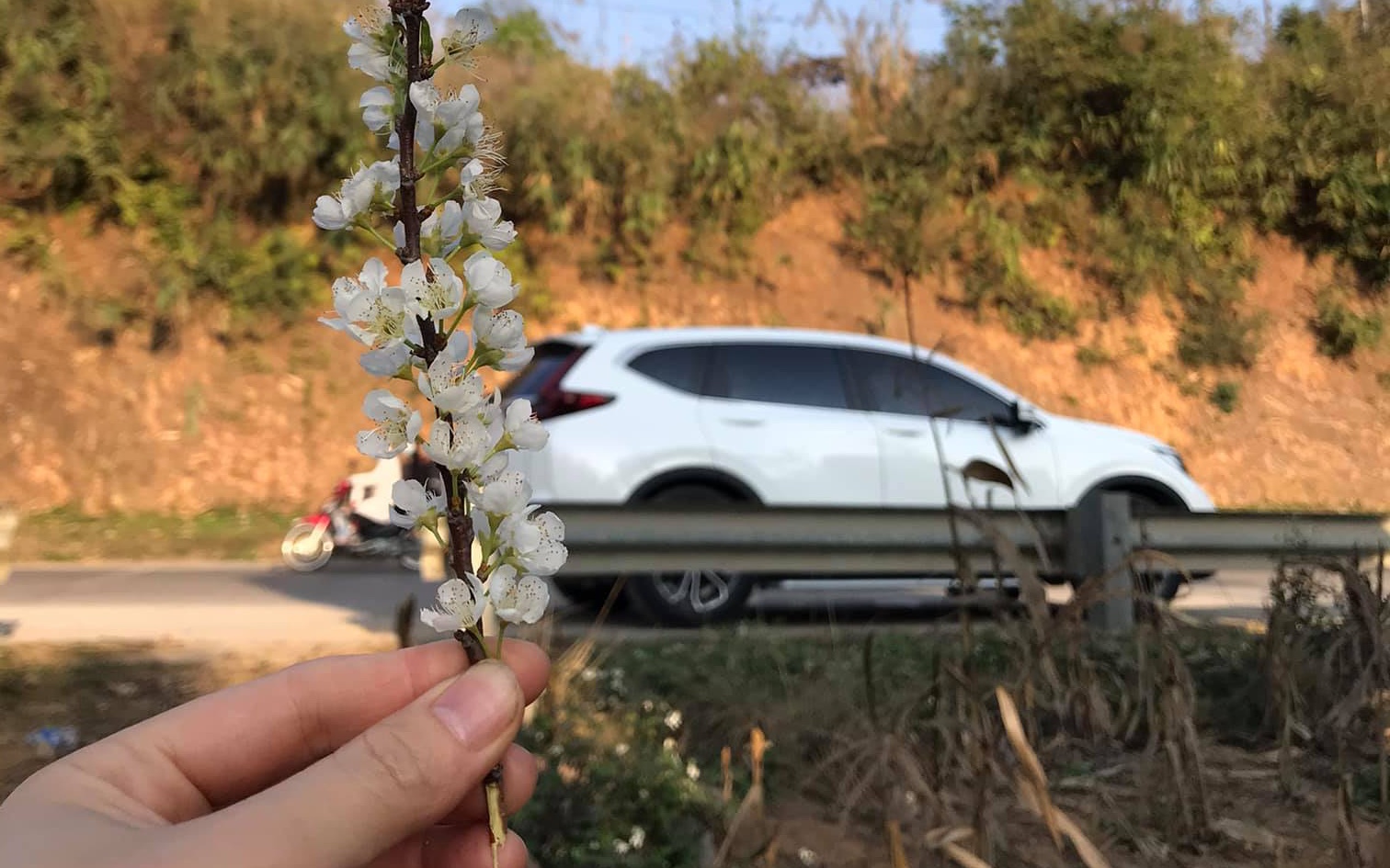 Cả gia đình đã có những chuyến đi đầu tiên cùng chiếc Honda CR-V 2020