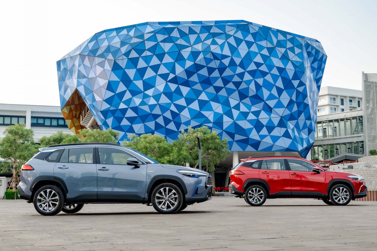 Xe Toyota Cross