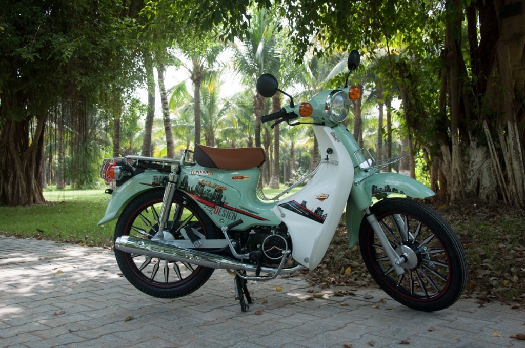 đi xe cub