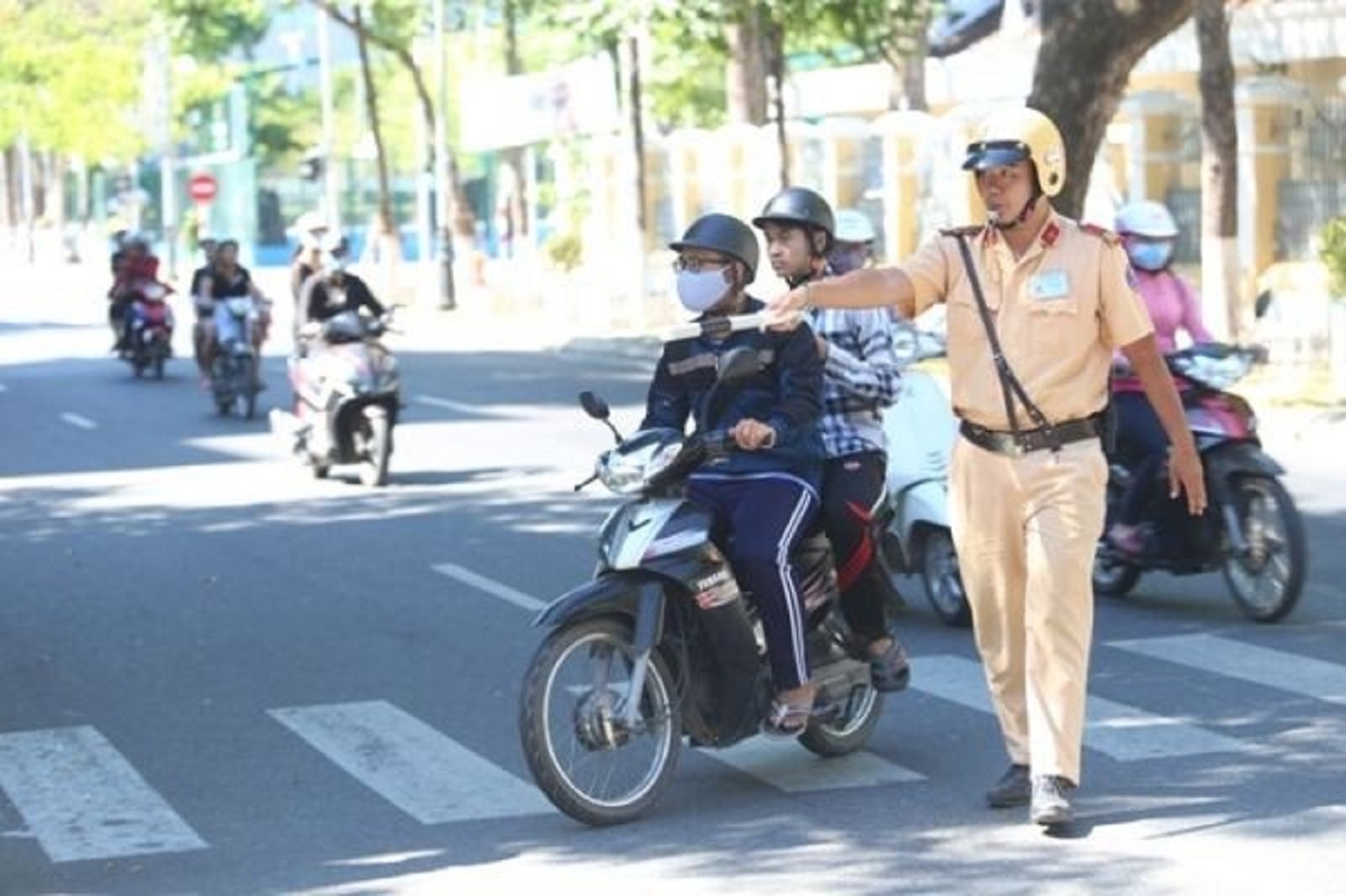 xe không chính chủ