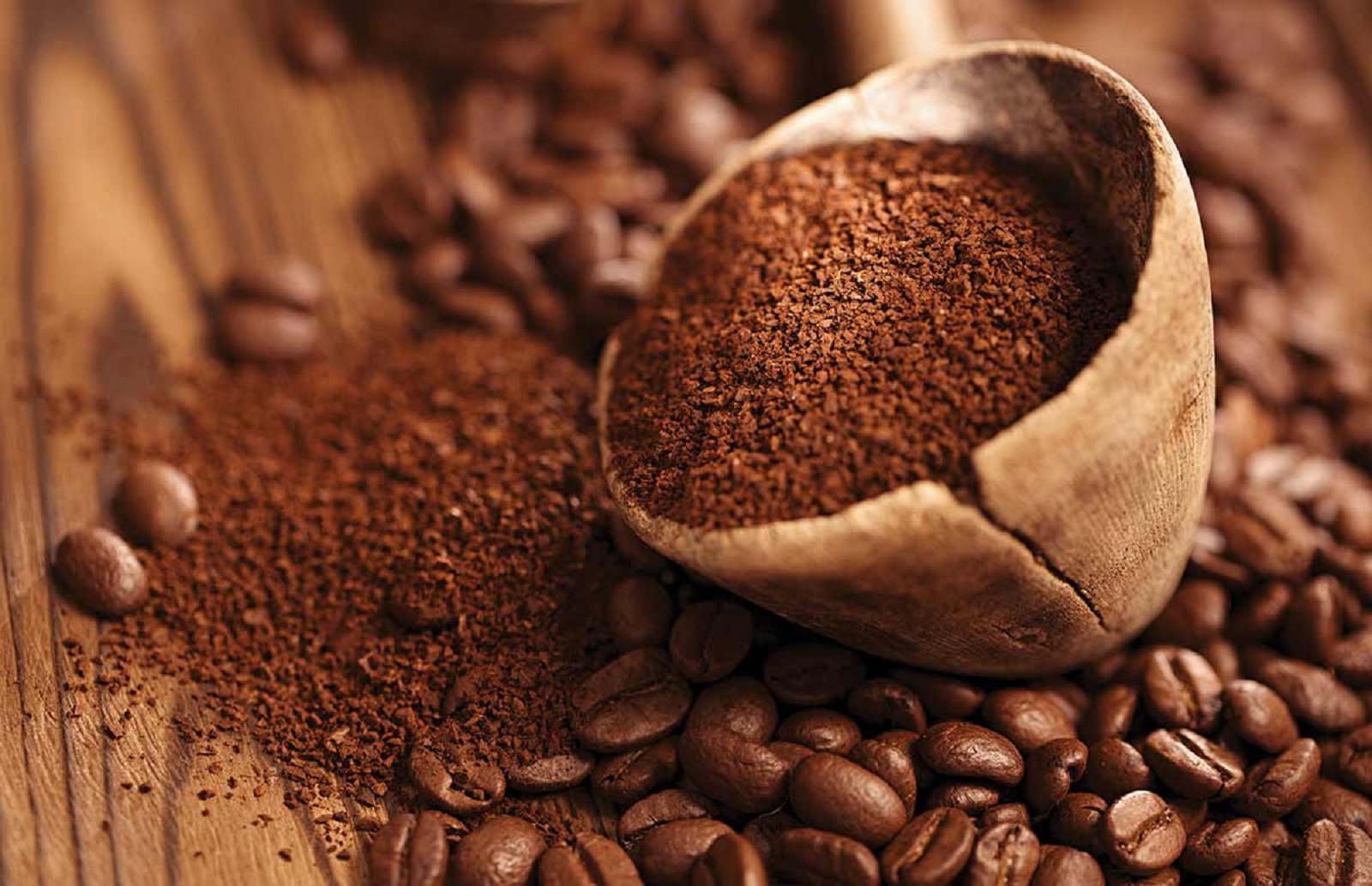 khử mùi nấm mốc xe ô tô